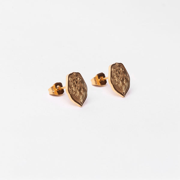 Aretes