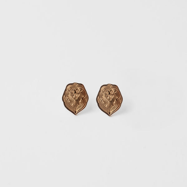 Aretes